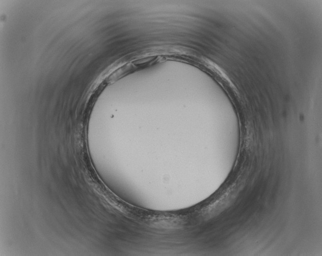 X0000060790786200512082123