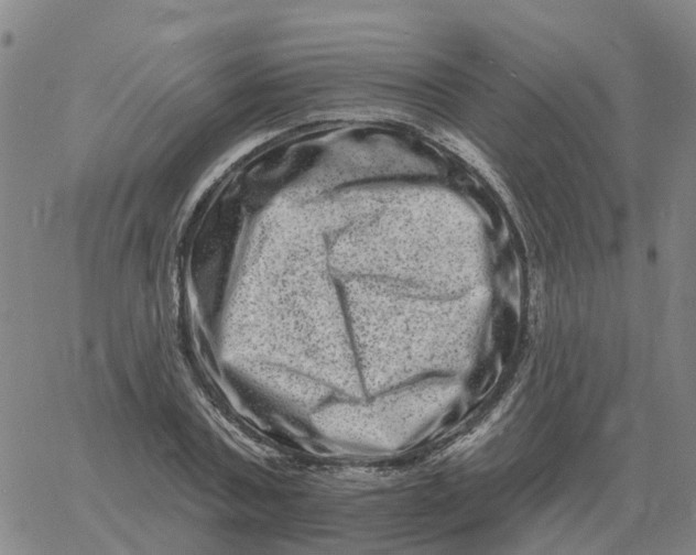 X0000060790787200512082123