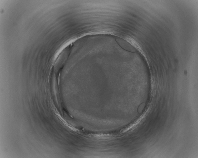 X0000060790789200512082123