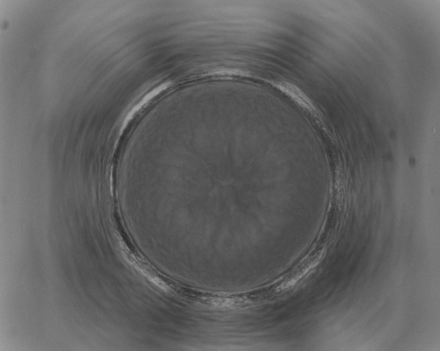 X0000060790790200512082123