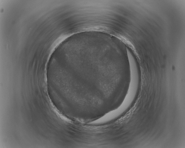 X0000060790792200512082123