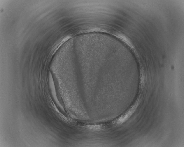 X0000060790793200512082123