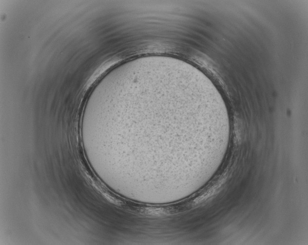 X0000060790794200512082123