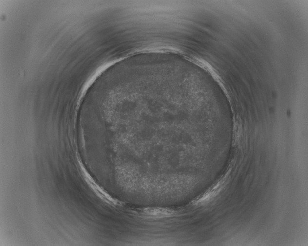 X0000060790795200512082123