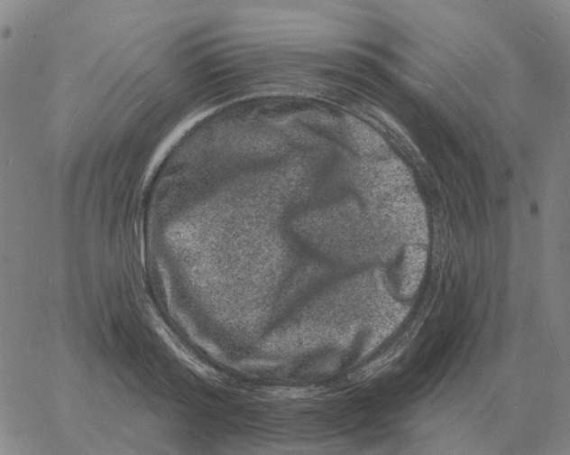 X0000060790796200512082123