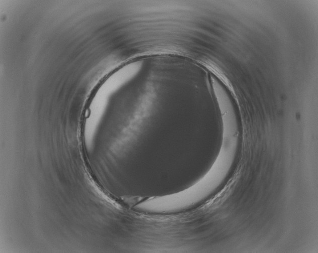 X0000060790797200512082123