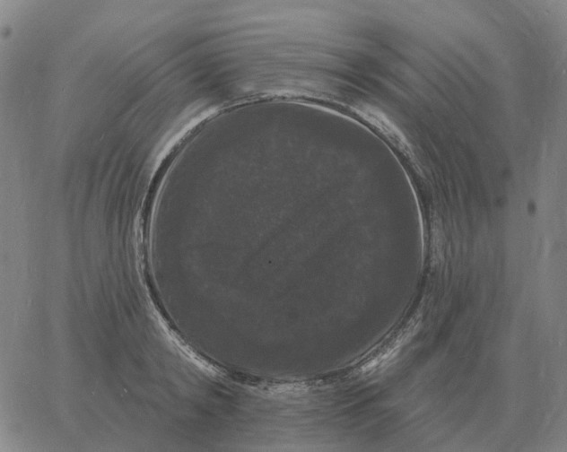 X0000060790798200512082123