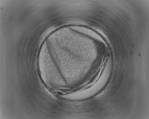 X0000060790799200512082123