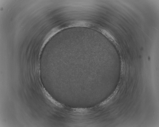 X0000060790800200512082123