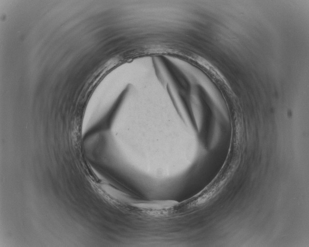 X0000060790801200512082123