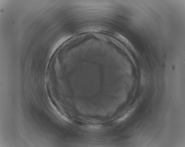 X0000060790802200512082123