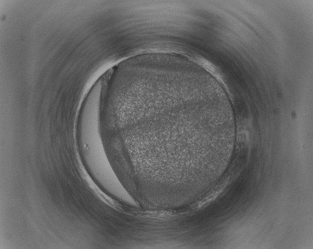 X0000060790803200512082123