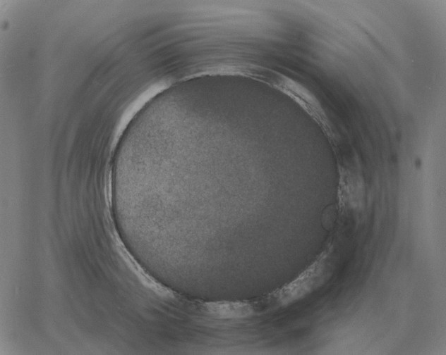 X0000060790804200512082123