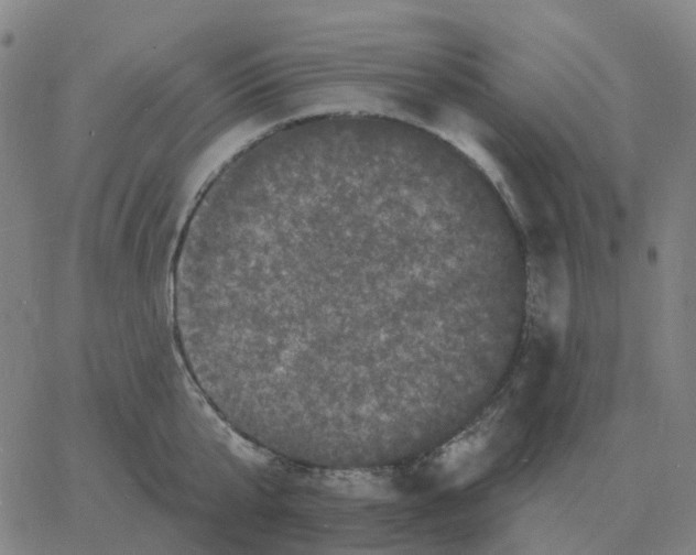 X0000060790807200512082122