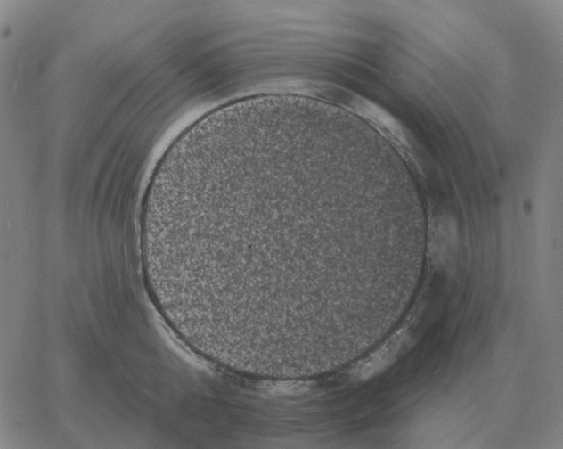 X0000060790808200512082122