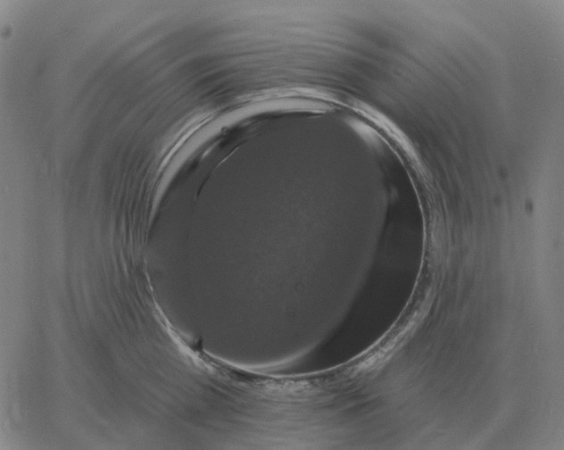 X0000060790809200512082122