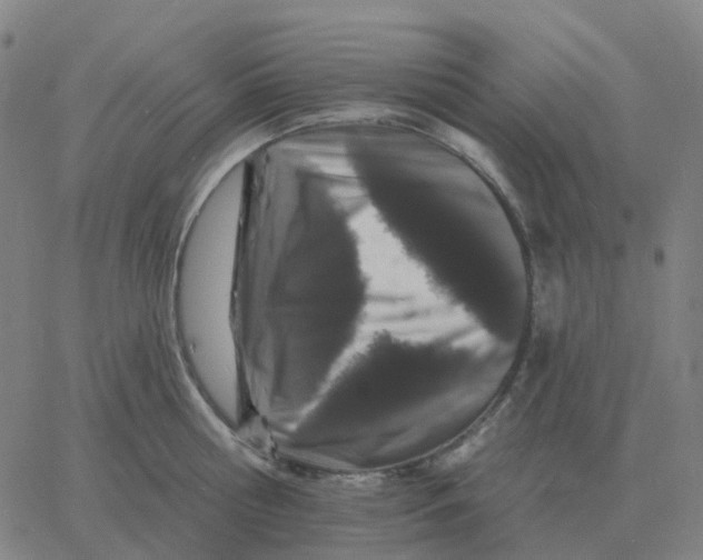 X0000060790810200512082122