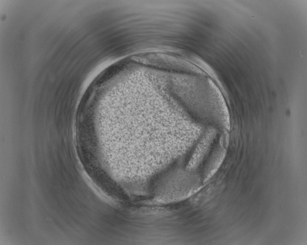 X0000060790811200512082122