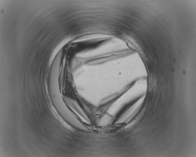 X0000060790812200512082122