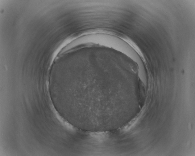 X0000060790813200512082122