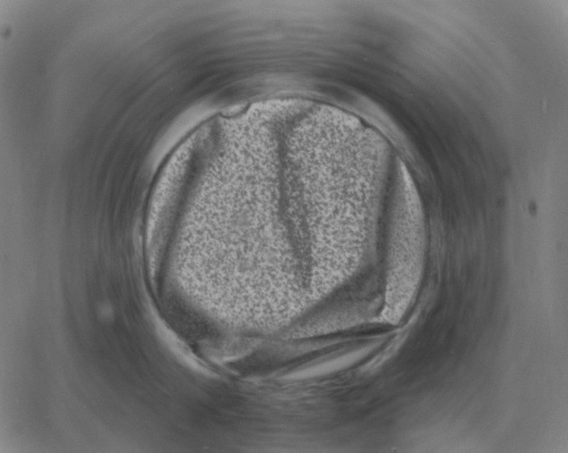 X0000060790814200512082122