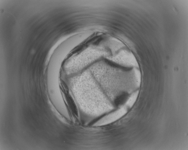 X0000060790816200512082122