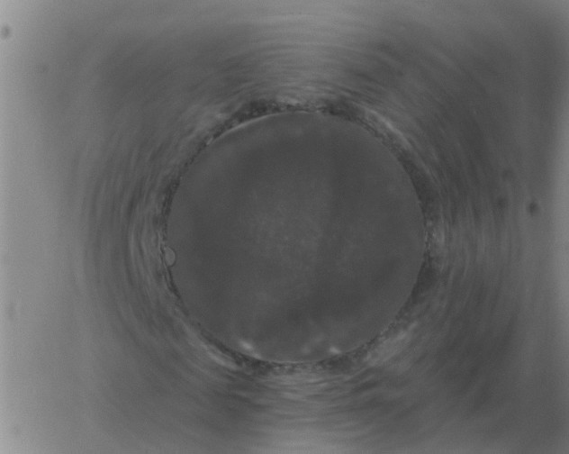 X0000060790817200512082122