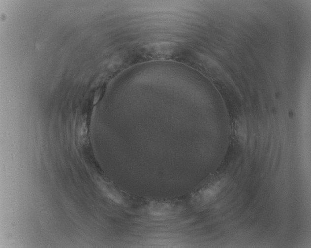 X0000060790818200512082122