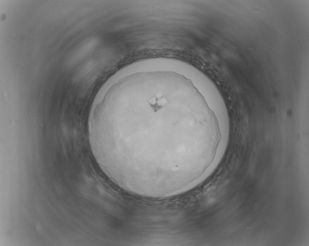 X0000060790820200512082122