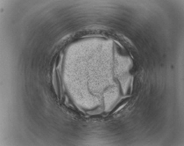 X0000060790821200512082122