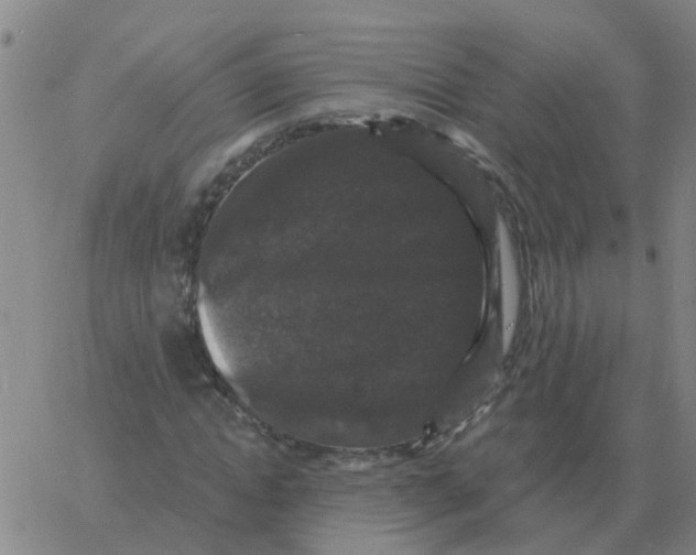 X0000060790822200512082122