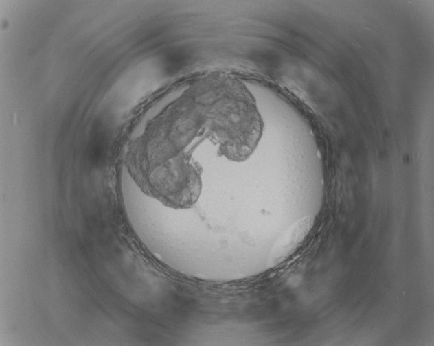 X0000060790824200512082122