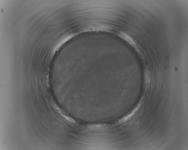 X0000060790826200512082122