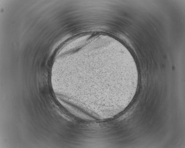 X0000060790827200512082122