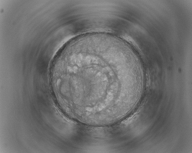 X0000060790828200512082122