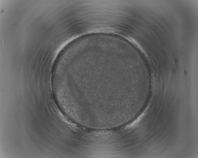 X0000060790830200512082122