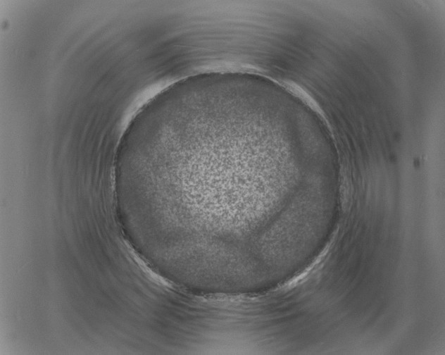 X0000060790831200512082122