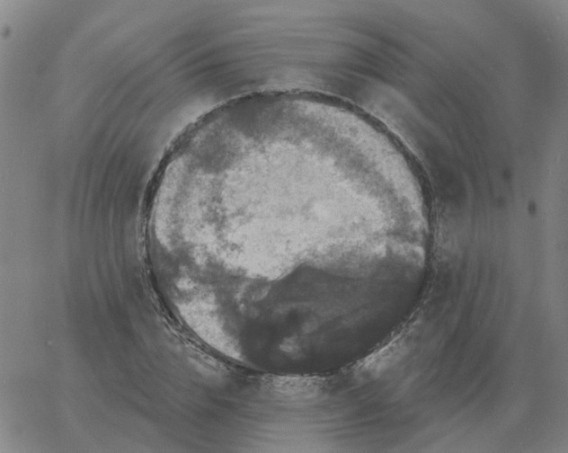 X0000060790832200512082122