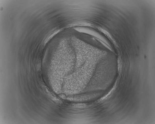 X0000060790833200512082122