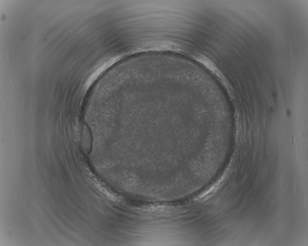 X0000060790834200512082122