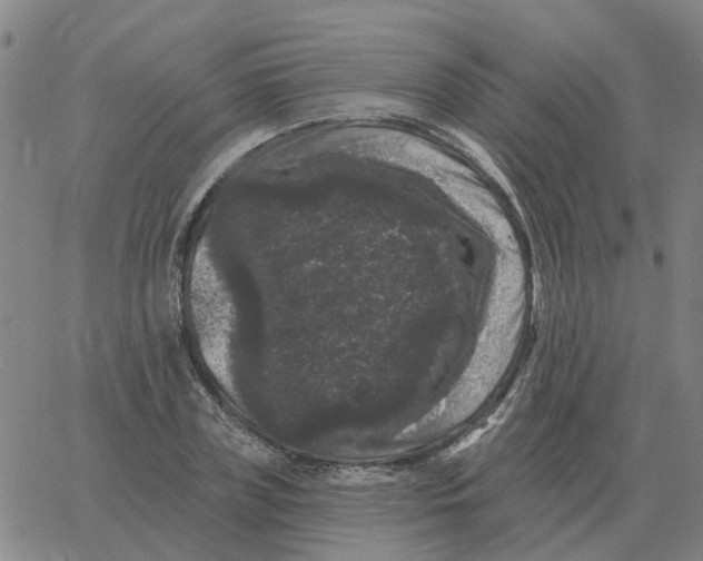 X0000060790835200512082122