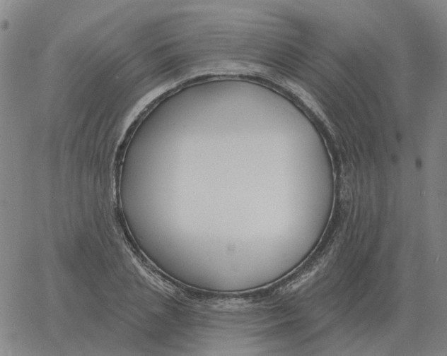 X0000060790837200512082122