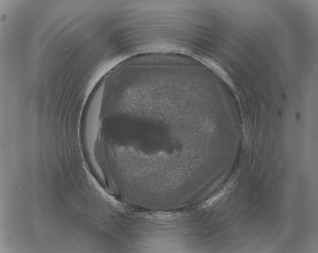 X0000060790839200512082122