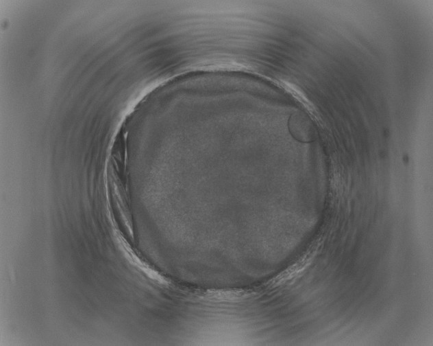 X0000060790840200512082122