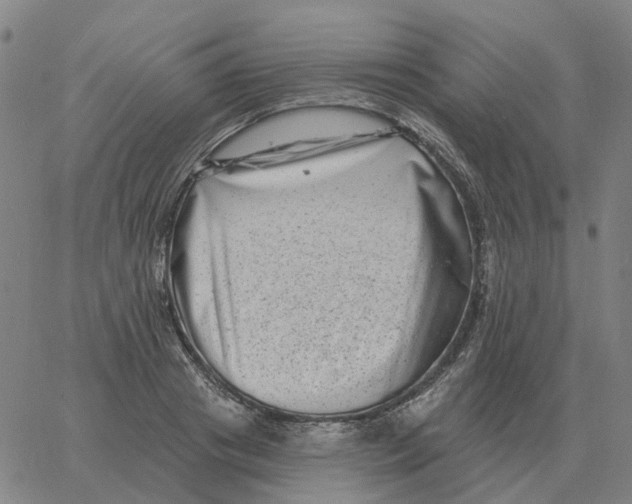 X0000060790841200512082122