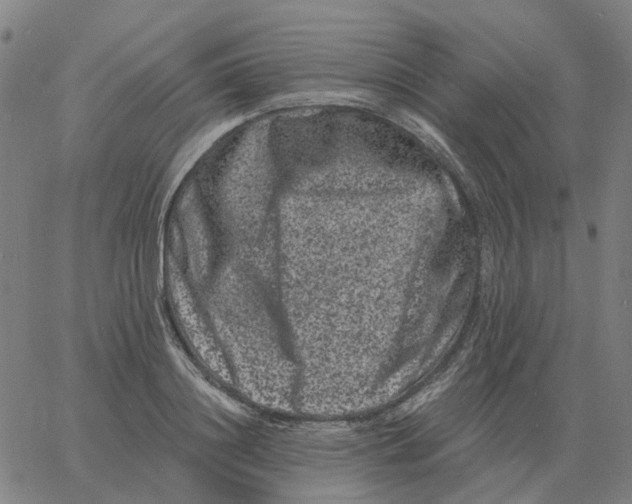 X0000060790844200512082122