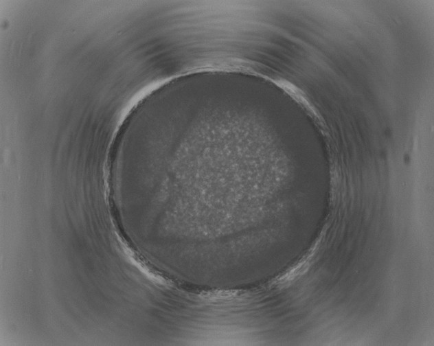 X0000060790846200512082122