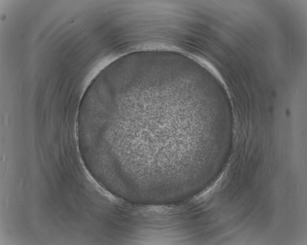 X0000060790847200512082122