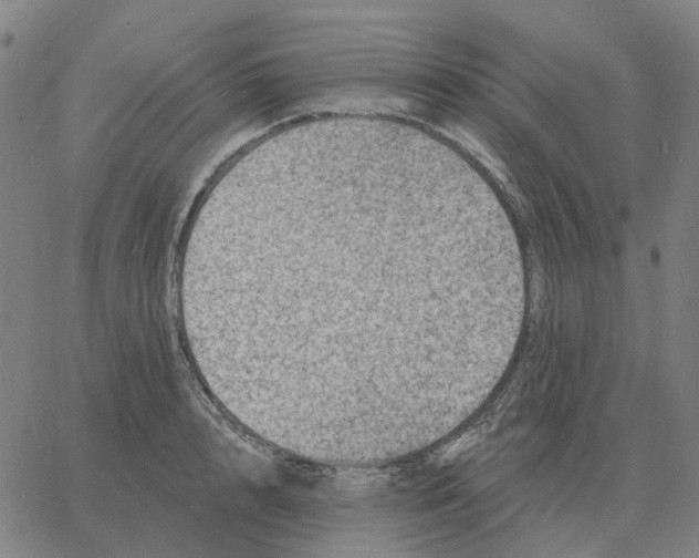 X0000060790848200512082122