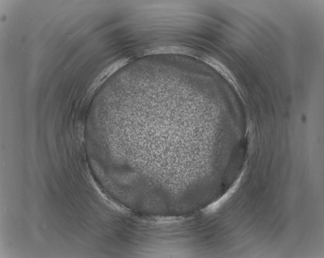 X0000060790849200512082122